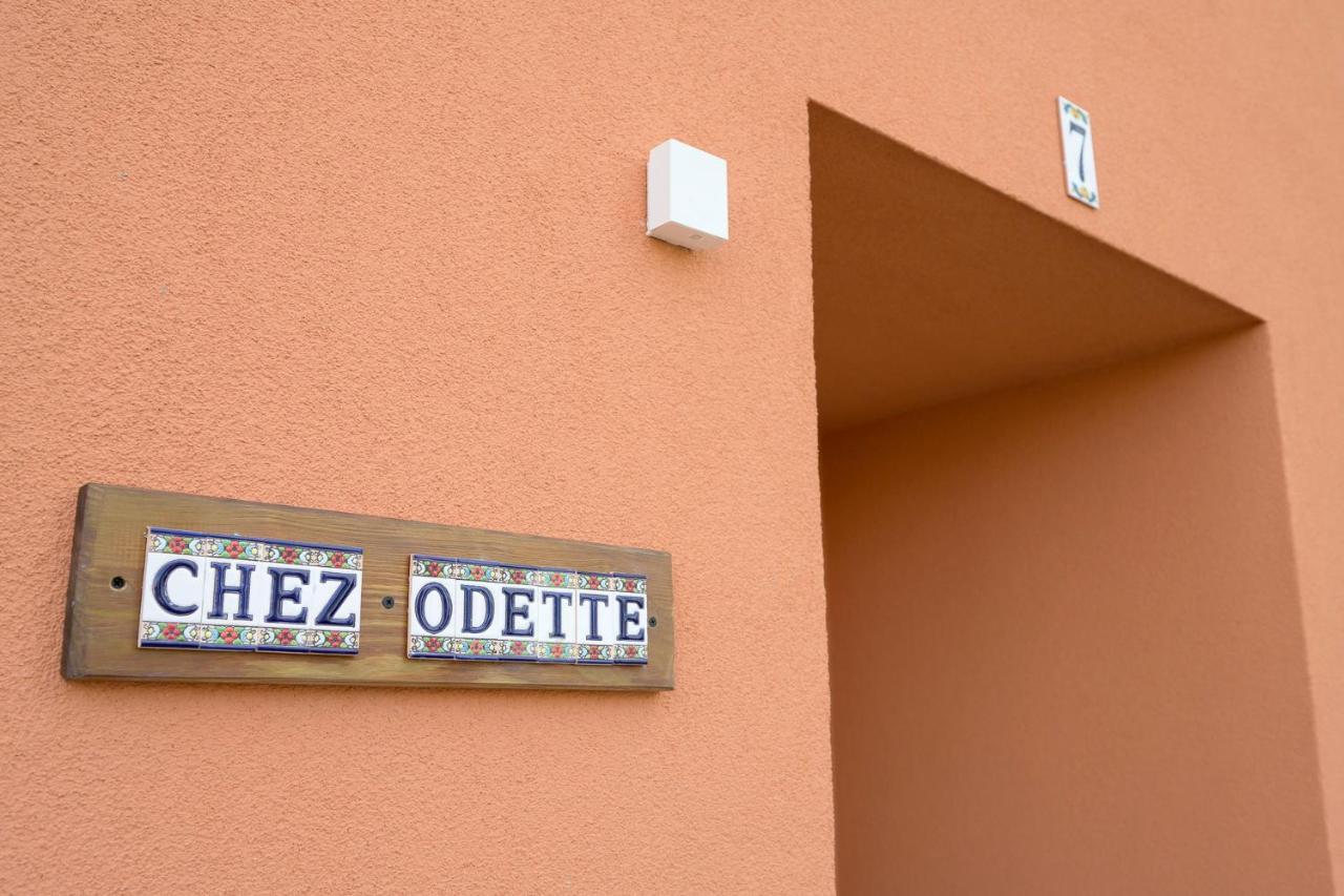 Chez Odette - Spa, Plancha, Parking Albi Exterior photo